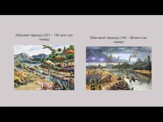 (Юрский период) (201 – 145 млн лет назад) (Меловой период) (145 – 66 млн лет назад)