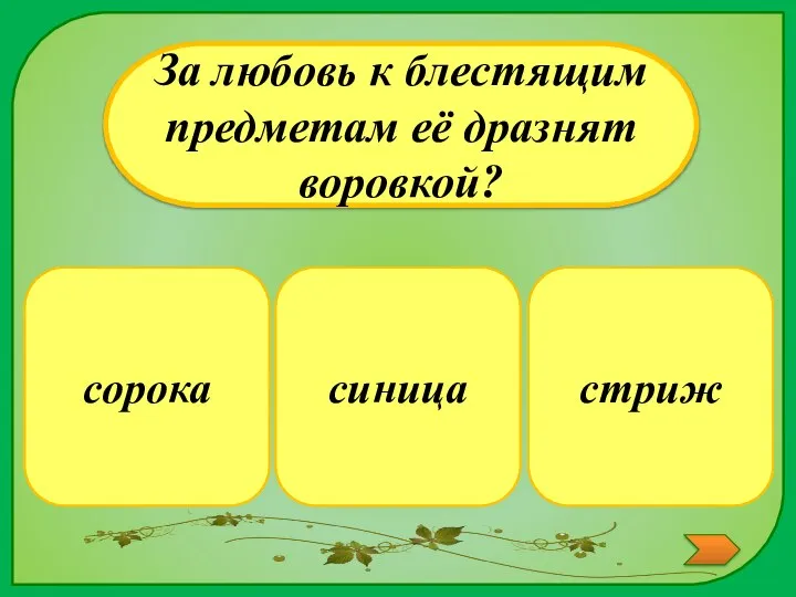 сорока За любовь к блестящим предметам её дразнят воровкой? стриж синица