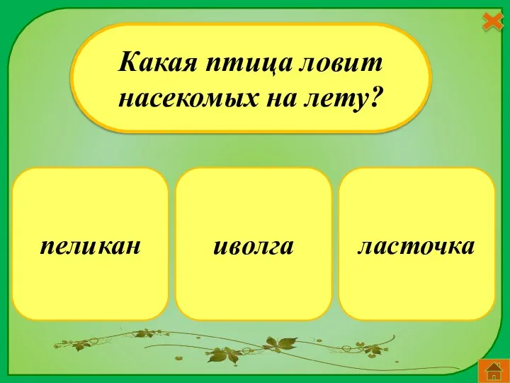 ласточка Какая птица ловит насекомых на лету? иволга пеликан