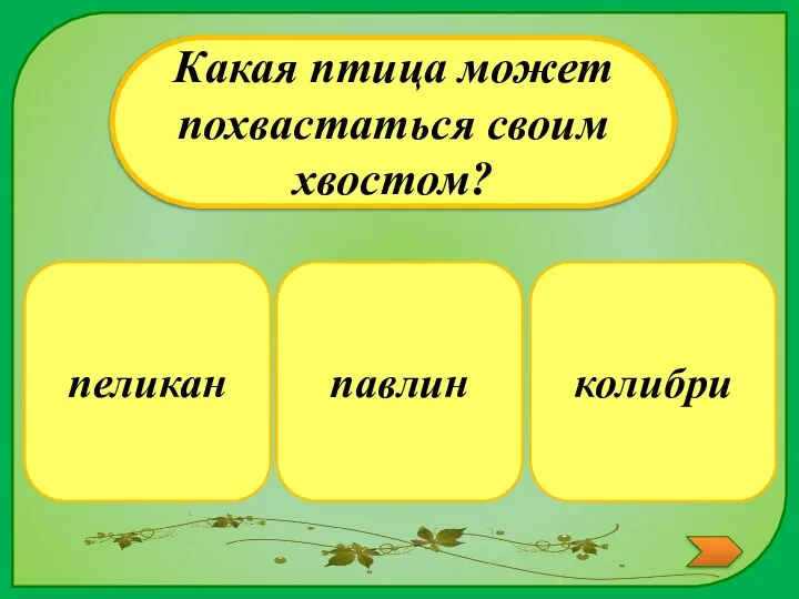 павлин Какая птица может похвастаться своим хвостом? колибри пеликан