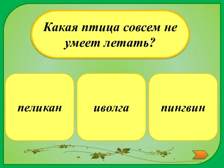 пингвин Какая птица совсем не умеет летать? иволга пеликан