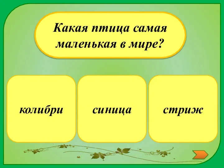 колибри Какая птица самая маленькая в мире? стриж синица