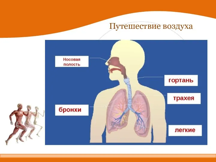 Путешествие воздуха