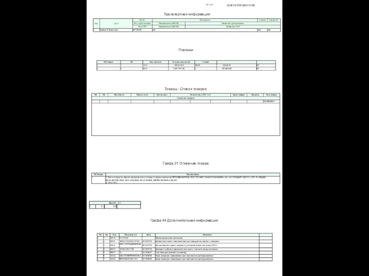 РЕГ НМР 55307/270819/0015160 Транспортная информация Платежи Товары - Список товаров Графа 31