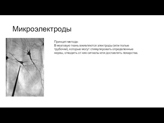 Микроэлектроды Принцип метода: В мозговую ткань вживляются электроды (или полые трубочки), которые