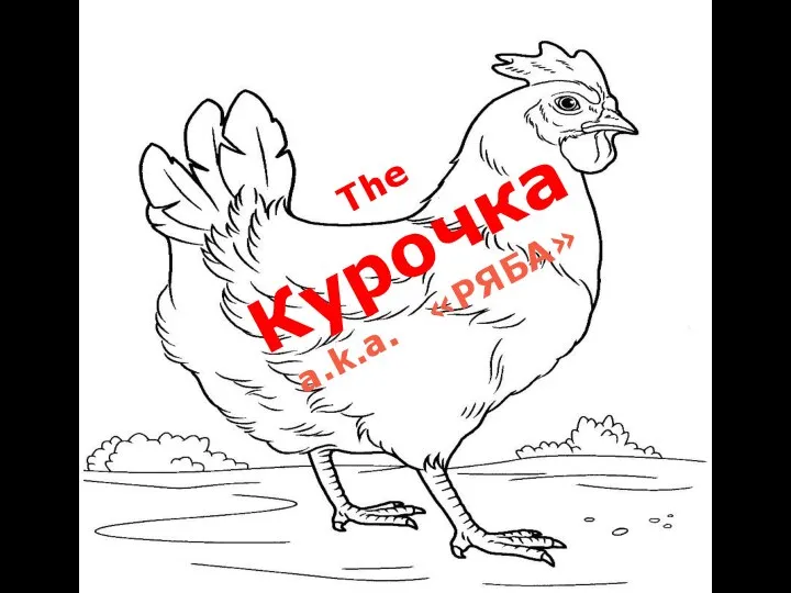 The Курочка a.k.a. «РЯБА»