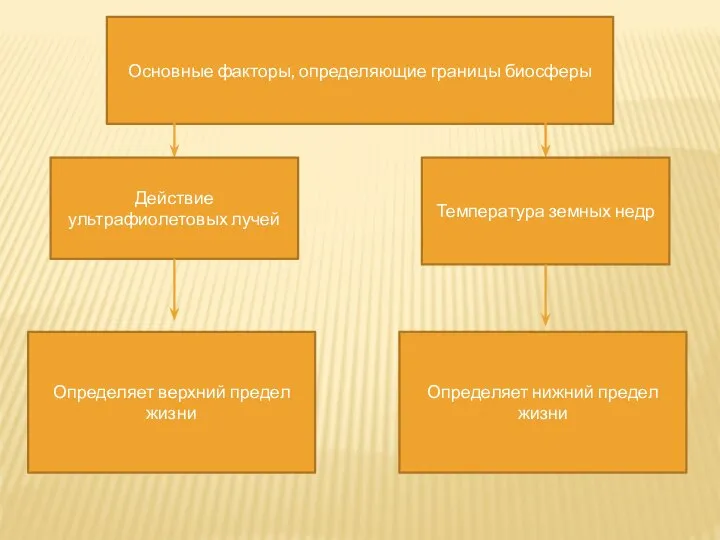 Основные факторы, определяющие границы биосферы Действие ультрафиолетовых лучей Температура земных недр Определяет