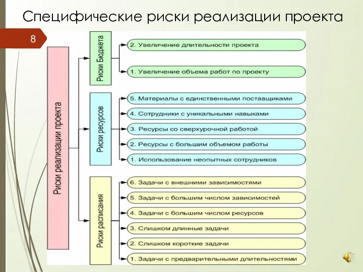 Специфические риски реализации проекта