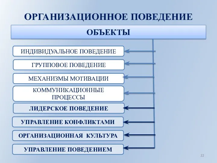 ОРГАНИЗАЦИОННОЕ ПОВЕДЕНИЕ ОБЪЕКТЫ ИНДИВИДУАЛЬНОЕ ПОВЕДЕНИЕ ГРУППОВОЕ ПОВЕДЕНИЕ МЕХАНИЗМЫ МОТИВАЦИИ КОММУНИКАЦИОННЫЕ ПРОЦЕССЫ ЛИДЕРСКОЕ