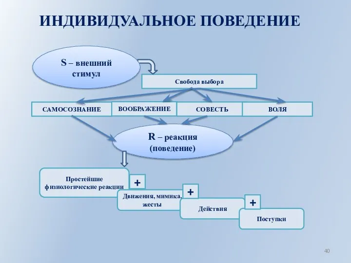 ИНДИВИДУАЛЬНОЕ ПОВЕДЕНИЕ