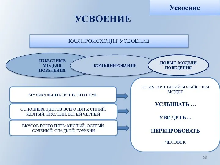 УСВОЕНИЕ КАК ПРОИСХОДИТ УСВОЕНИЕ ИЗВЕСТНЫЕ МОДЕЛИ ПОВЕДЕНИЯ КОМБИНИРОВАНИЕ НОВЫЕ МОДЕЛИ ПОВЕДЕНИЯ МУЗЫКАЛЬНЫХ