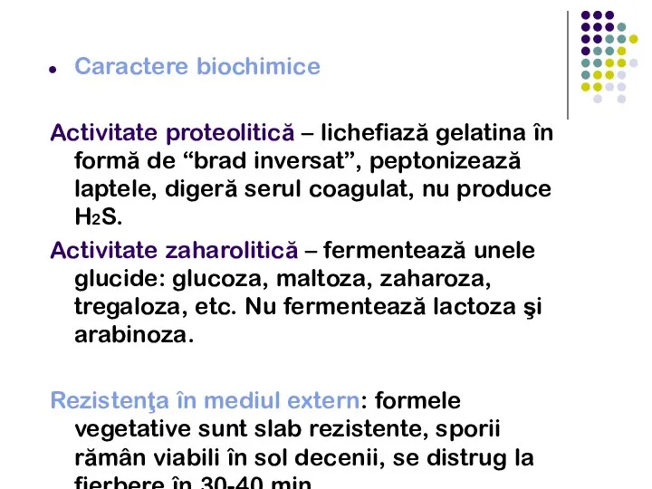 Caractere biochimice Activitate proteolitică – lichefiază gelatina în formă de “brad inversat”,