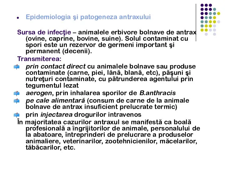 Epidemiologia şi patogeneza antraxului Sursa de infecţie – animalele erbivore bolnave de