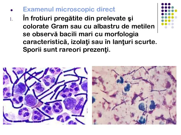 Examenul microscopic direct În frotiuri pregătite din prelevate şi colorate Gram sau