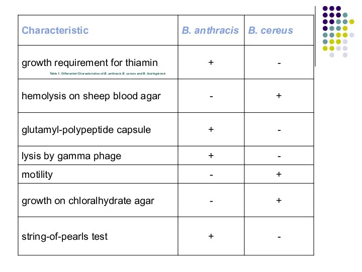 Table 1. Differential Characteristics of B. anthracis B. cereus and B. thuringiensis