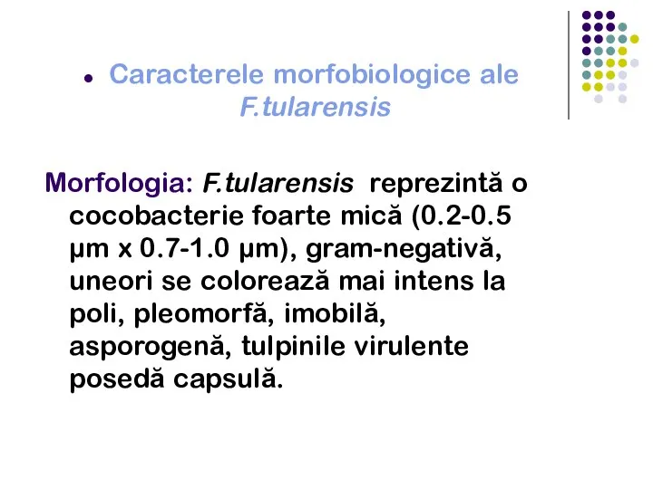 Caracterele morfobiologice ale F.tularensis Morfologia: F.tularensis reprezintă o cocobacterie foarte mică (0.2-0.5