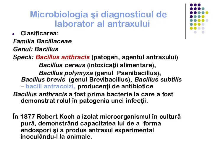 Microbiologia şi diagnosticul de laborator al antraxului Clasificarea: Familia Bacillaceae Genul: Bacillus