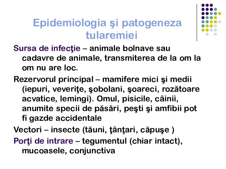 Epidemiologia şi patogeneza tularemiei Sursa de infecţie – animale bolnave sau cadavre