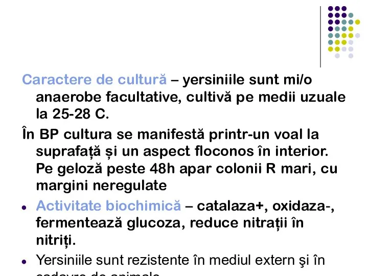 Caractere de cultură – yersiniile sunt mi/o anaerobe facultative, cultivă pe medii