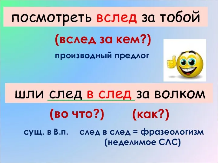 посмотреть (в)след за тобой (вслед за кем?) производный предлог шли след (в)