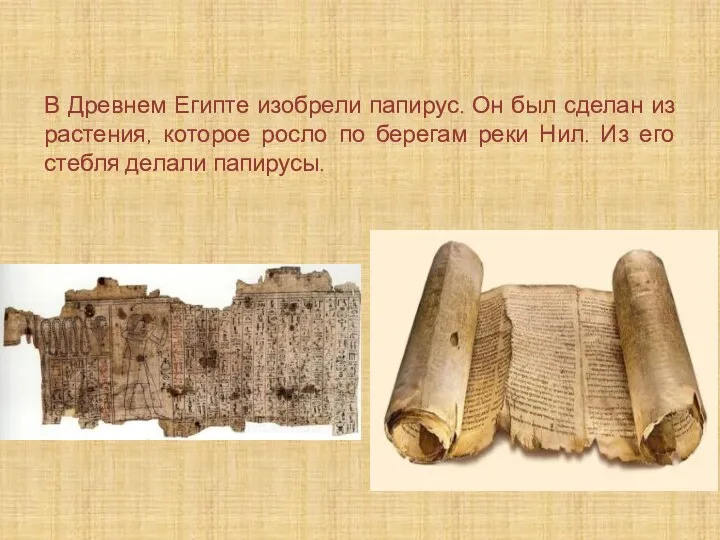 В Древнем Египте изобрели папирус. Он был сделан из растения, которое росло