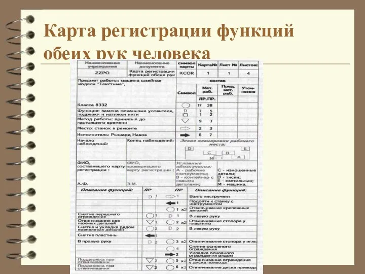 Карта регистрации функций обеих рук человека