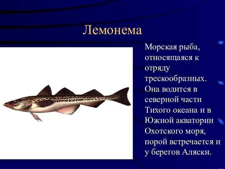 Лемонема Морская рыба, относящаяся к отряду трескообразных. Она водится в северной части