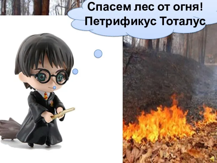 Спасем лес от огня! Петрификус Тоталус