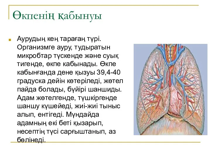 Өкпенің қабынуы Аурудың кең тарағаң түрі. Организмге ауру, тудыратын микробтар түскенде және