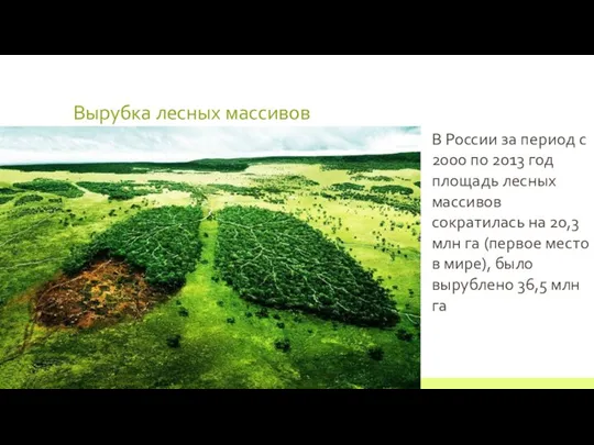 Вырубка лесных массивов 22 июля 2012 г. Текст нижнего колонтитула В России