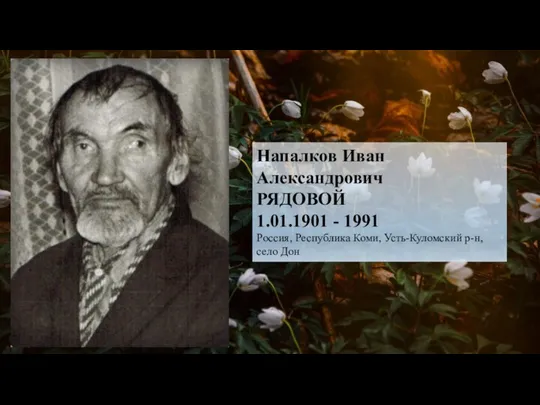 PART Напалков Иван Александрович РЯДОВОЙ 1.01.1901 - 1991 Россия, Республика Коми, Усть-Куломский р-н, село Дон