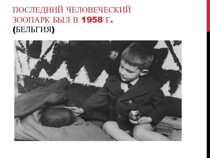 ПОСЛЕДНИЙ ЧЕЛОВЕЧЕСКИЙ ЗООПАРК БЫЛ В 1958 Г. (БЕЛЬГИЯ)