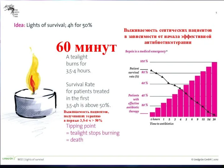 Выживаемость септических пациентов в зависимости от начала эффективной антибиотикотерапии 60 минут Выживаемость