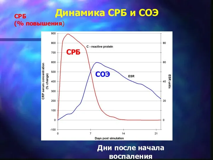 Динамика СРБ и СОЭ СРБ (% повышения) СОЭ Дни после начала воспаления СРБ