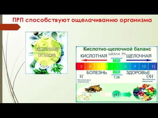 ПРП способствуют ощелачиванию организма