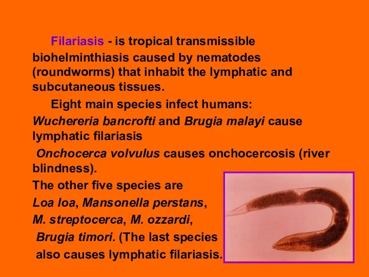 Filariasis - is tropical transmissible biohelminthiasis caused by nematodes (roundworms) that inhabit