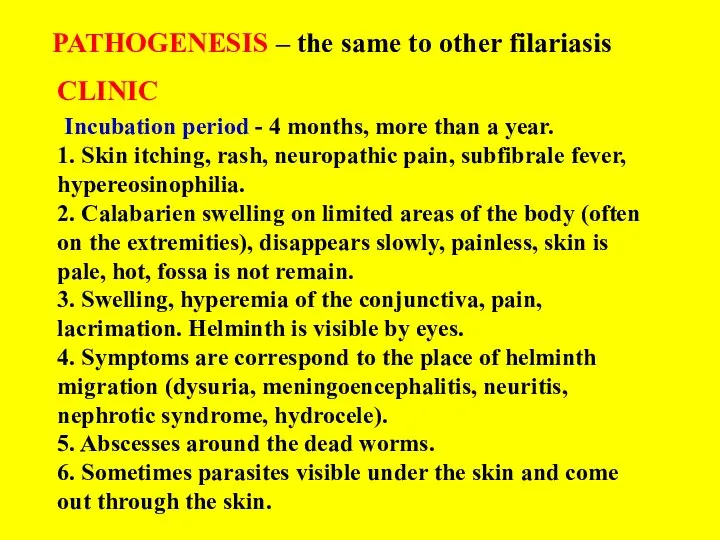 PATHOGENESIS – the same to other filariasis CLINIC Incubation period - 4