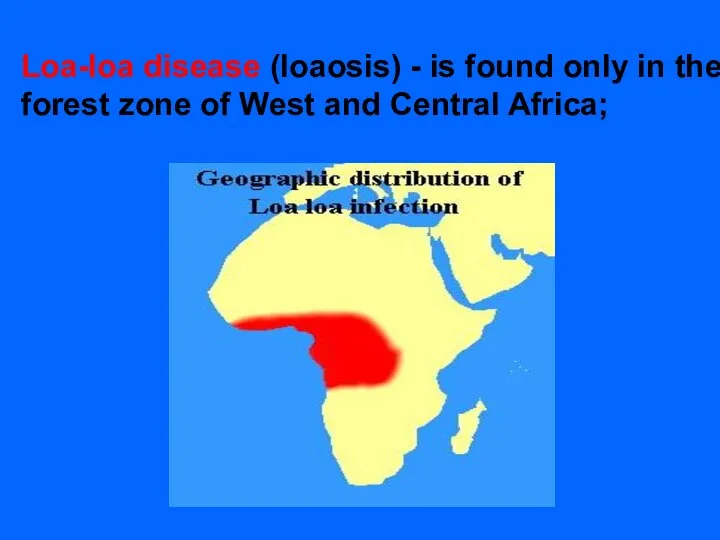 Loa-loa disease (loaosis) - is found only in the forest zone of West and Central Africa;