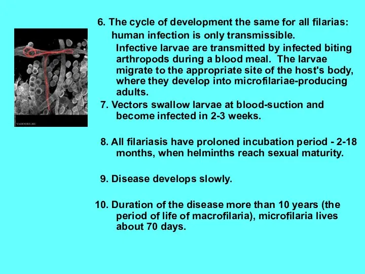 6. The cycle of development the same for all filarias: human infection