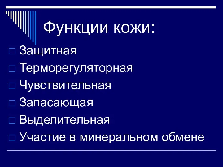 Функции кожи: Защитная Терморегуляторная Чувствительная Запасающая Выделительная Участие в минеральном обмене