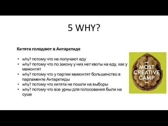 5 WHY? Китята голодают в Антарктиде why? потому что не получают еду