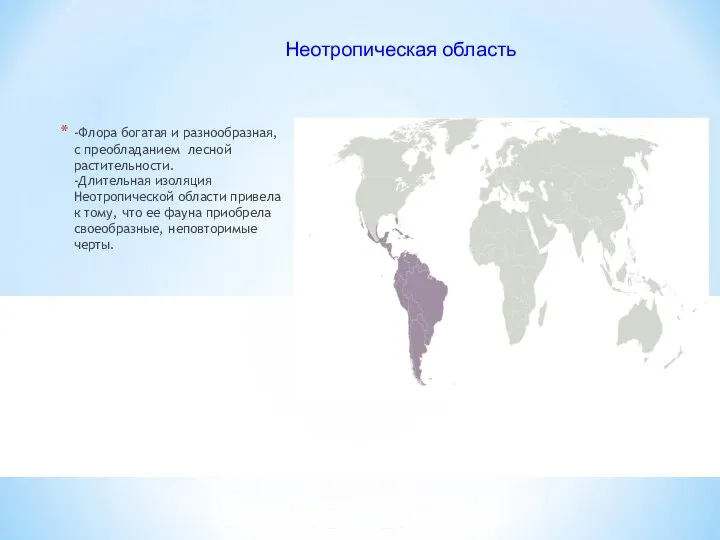 -Флора богатая и разнообразная, с преобладанием лесной растительности. -Длительная изоляция Неотропической области