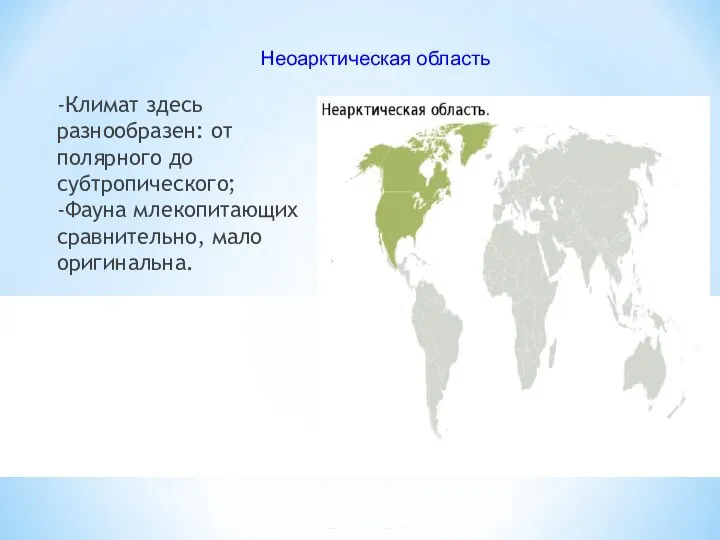 -Климат здесь разнообразен: от полярного до субтропического; -Фауна млекопитающих сравнительно, мало оригинальна. Неоарктическая область