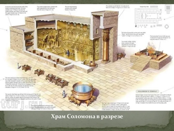Храм Соломона в разрезе