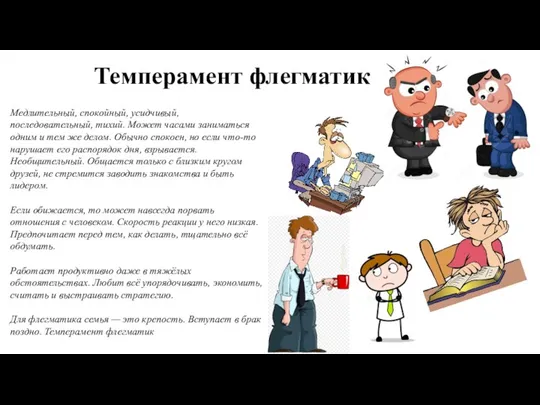 Медлительный, спокойный, усидчивый, последовательный, тихий. Может часами заниматься одним и тем же