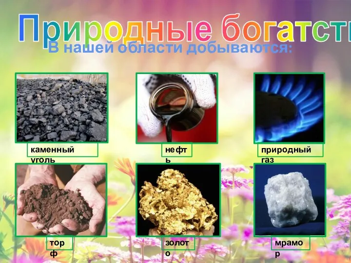 Природные богатства В нашей области добываются: каменный уголь нефть природный газ торф золото мрамор