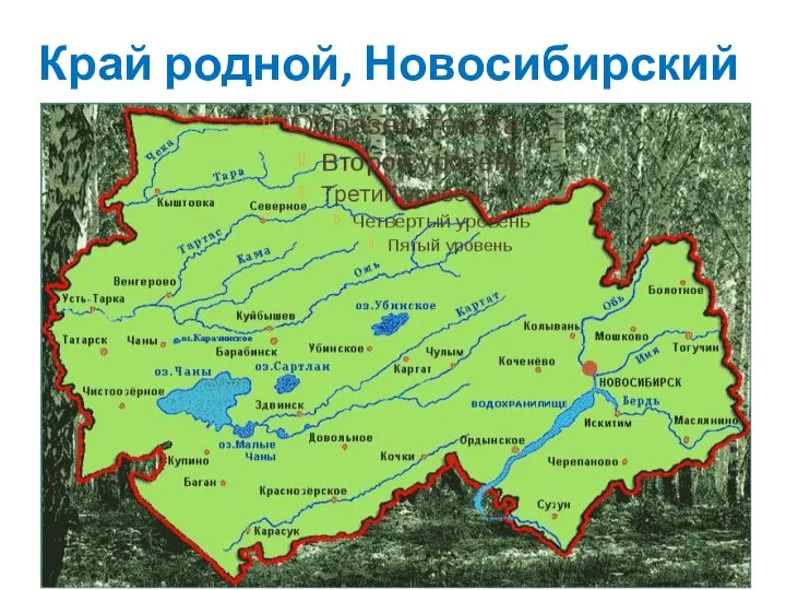 Край родной, Новосибирский