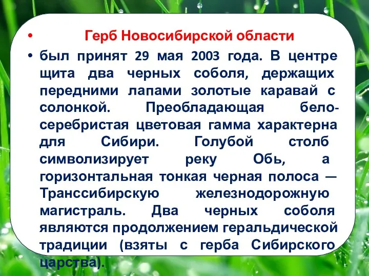 Герб Новосибирской области был принят 29 мая 2003 года. В центре щита