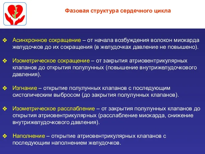 Фазовая структура сердечного цикла Асинхронное сокращение – от начала возбуждения волокон миокарда