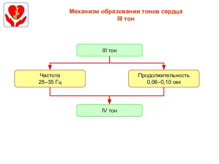 Механизм образования тонов сердца III тон Частота 25–35 Гц Продолжительность 0,06–0,10 сек IV тон III тон